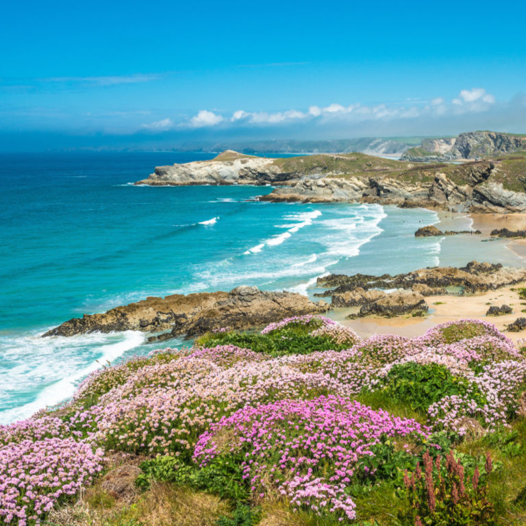Explore our Newquay properties
